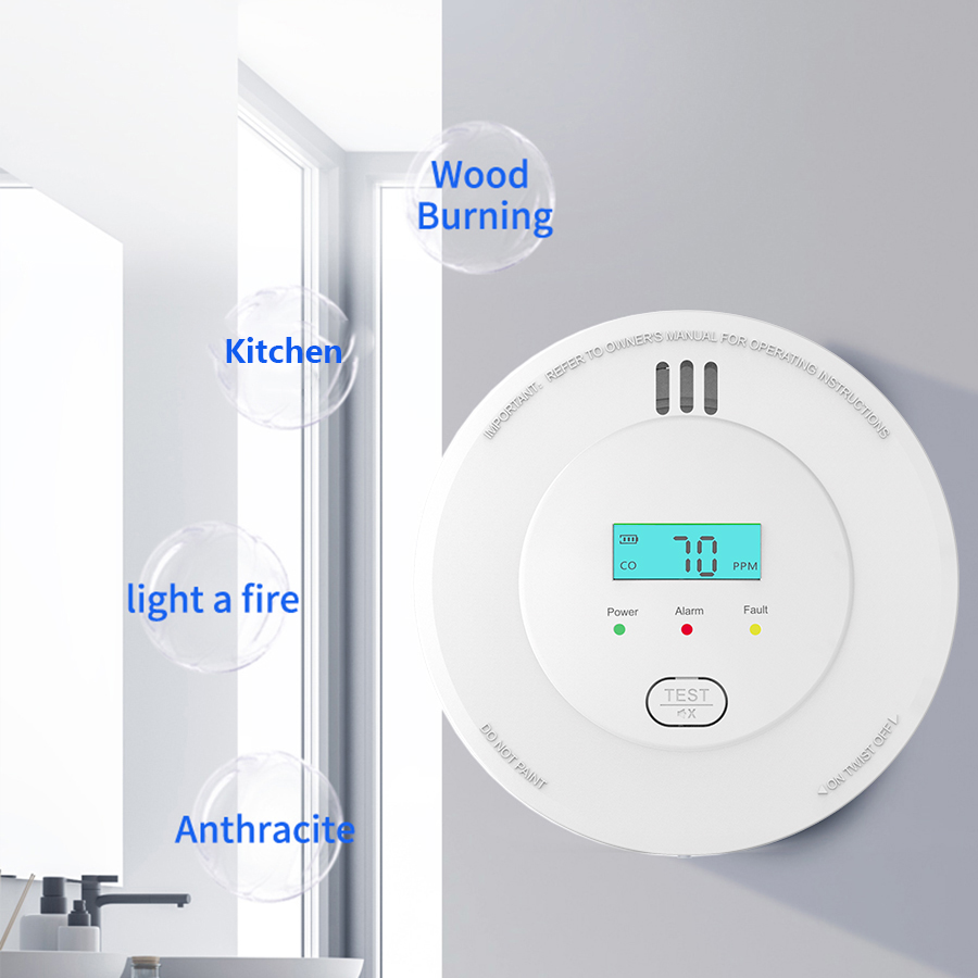 10 años Detector de humo y mon - Smoke Leak Detector reseña y precio